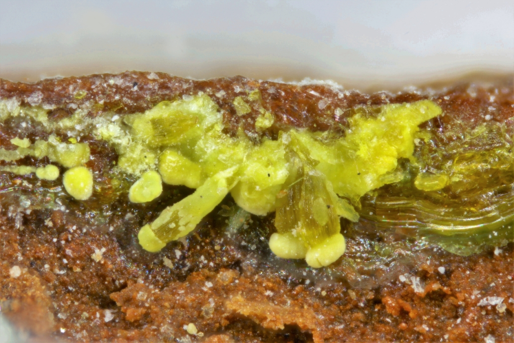 Leesite Blatonite & Mbobomkulite