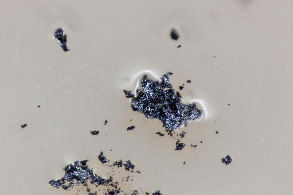 Ekplexite