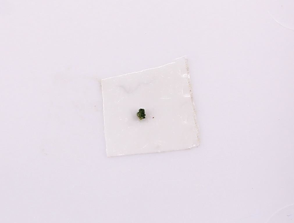 Aerugite & Xanthiosite