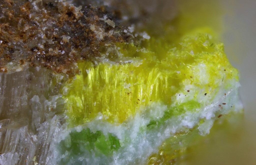 Oswaldpeetersite Leesite & Mbobomkulite