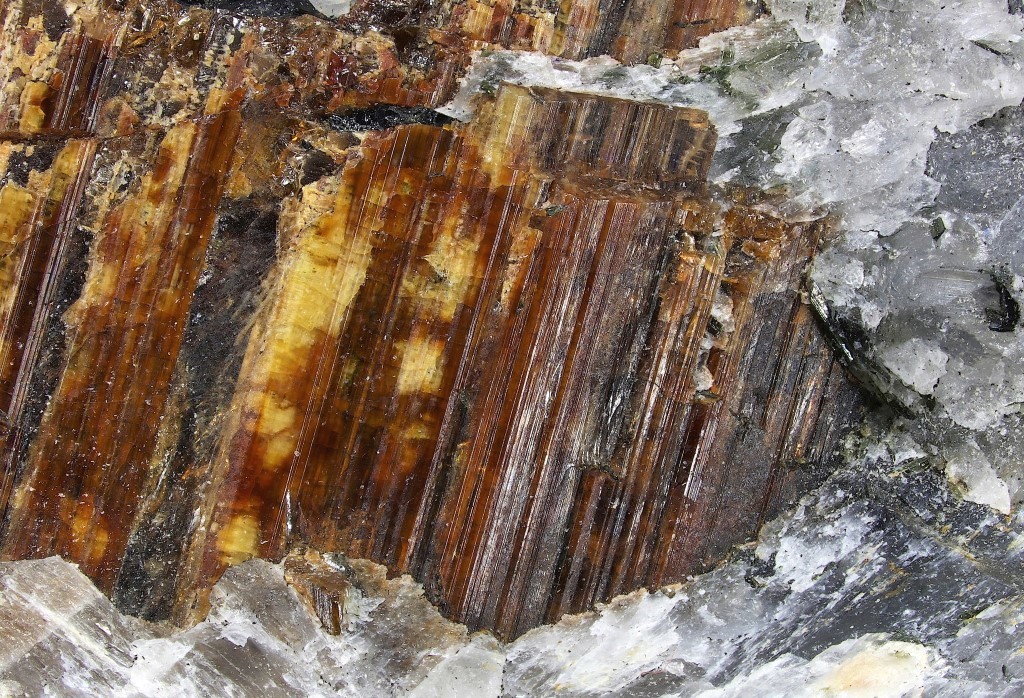 Shcherbakovite