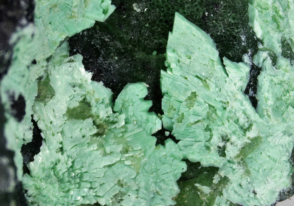 Hellyerite