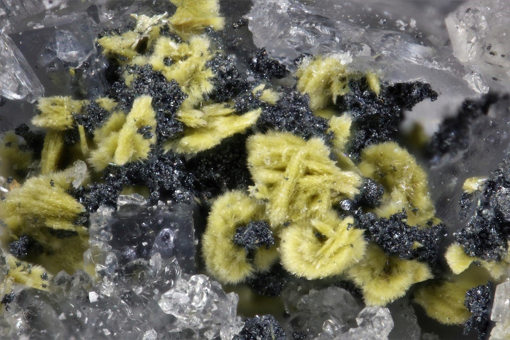 Cervantite