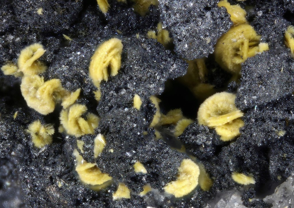 Cervantite