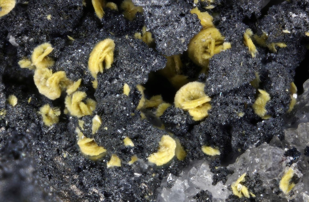 Cervantite
