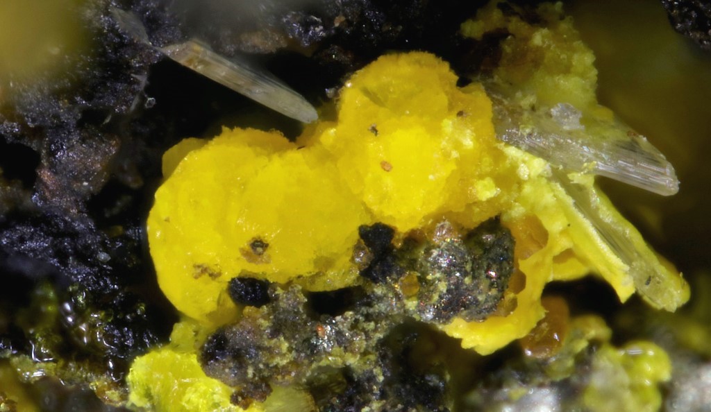 Sejkoraite-(Y) & Rabejacite