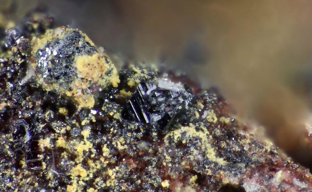 Borisenkoite & Mcbirneyite
