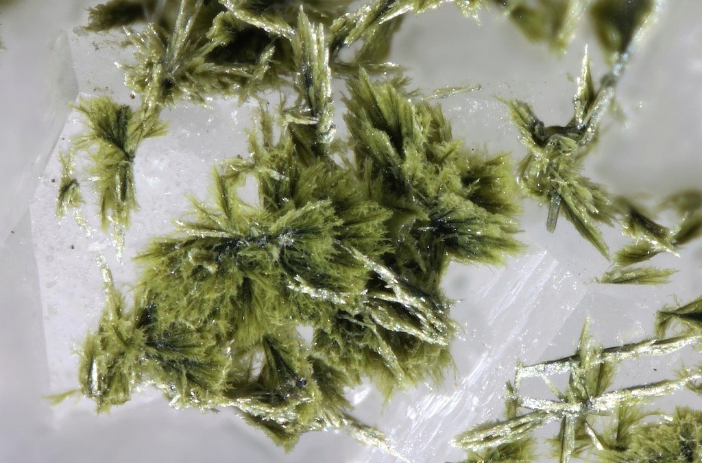 Tungstibite