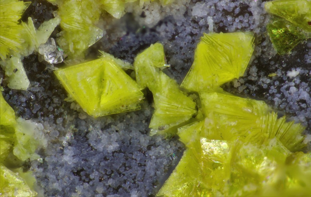 Triangulite & Ranunculite