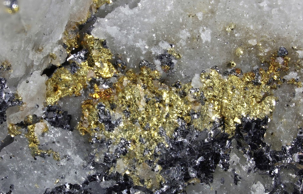 Native Gold On Galena