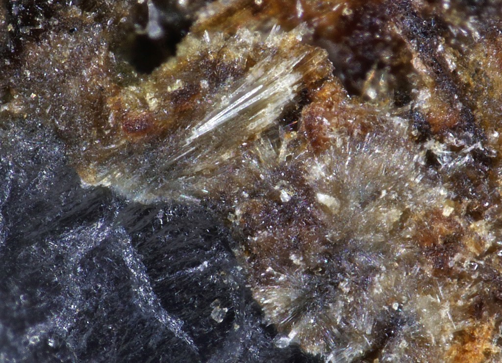 Kalifersite