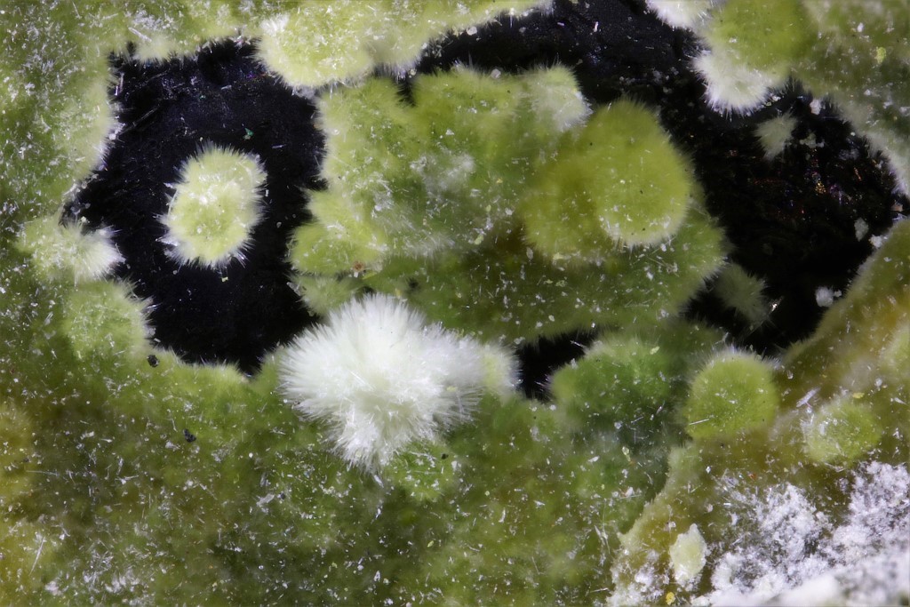 Pendevilleite-(Y) Shabaite-(Nd) & Kamotoite-(Y)