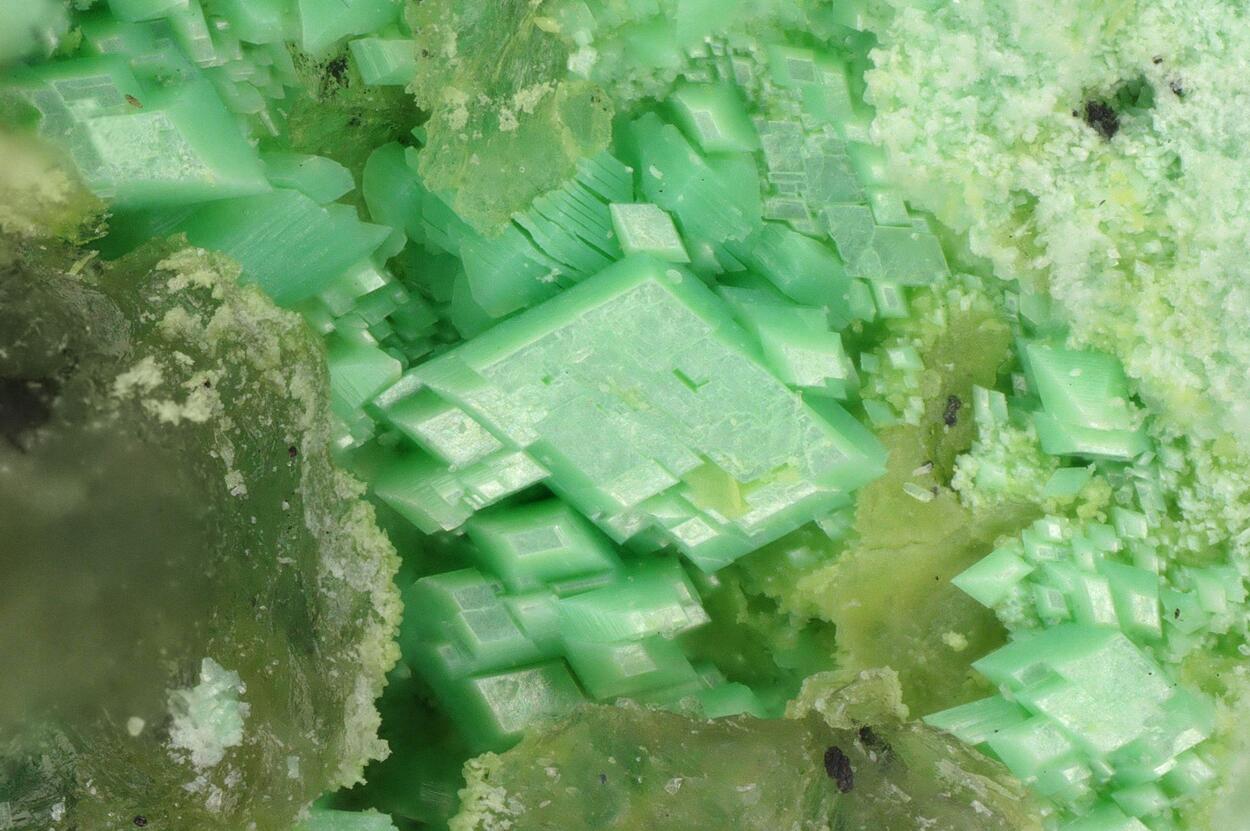 Hellyerite
