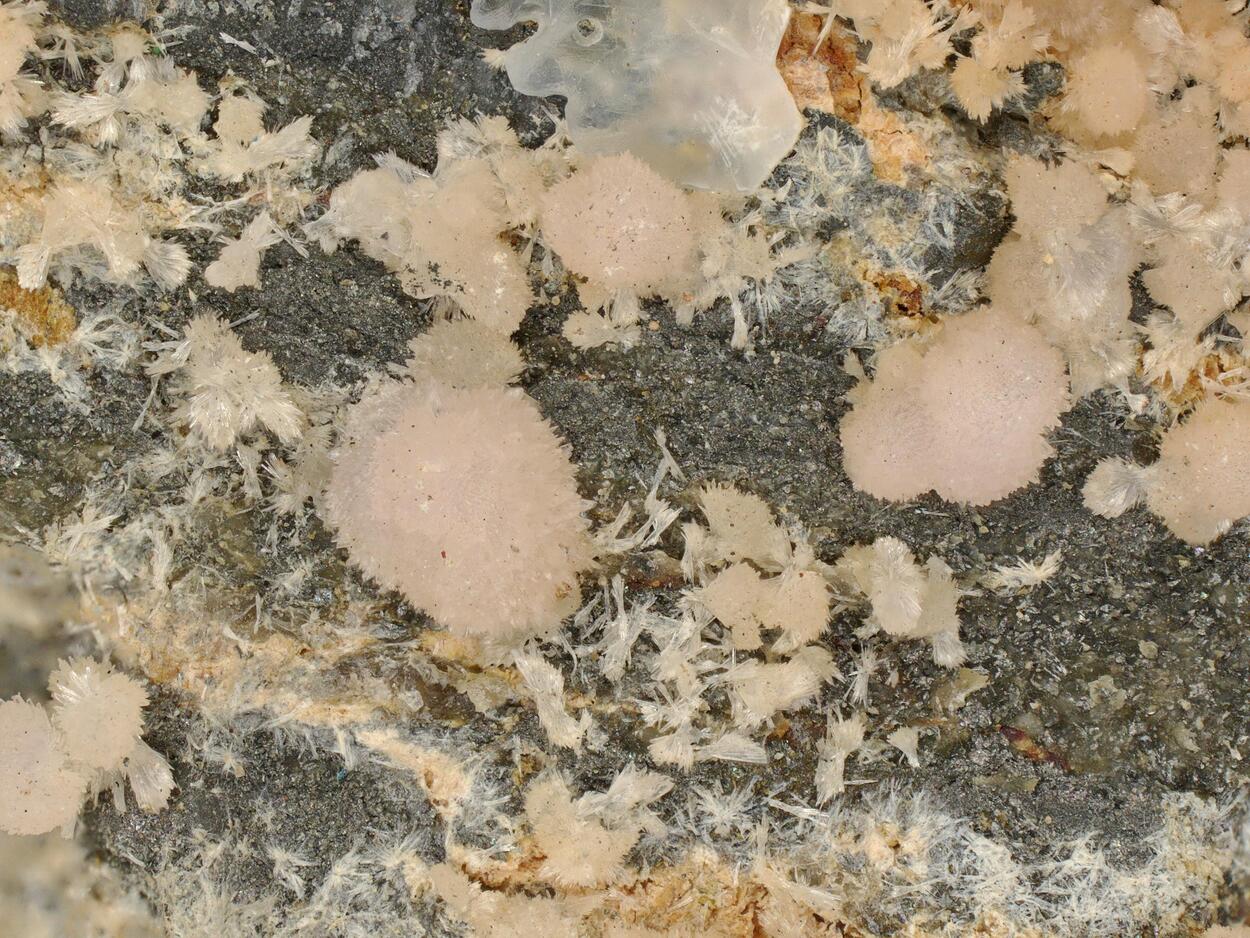 Fluckite & Smamite
