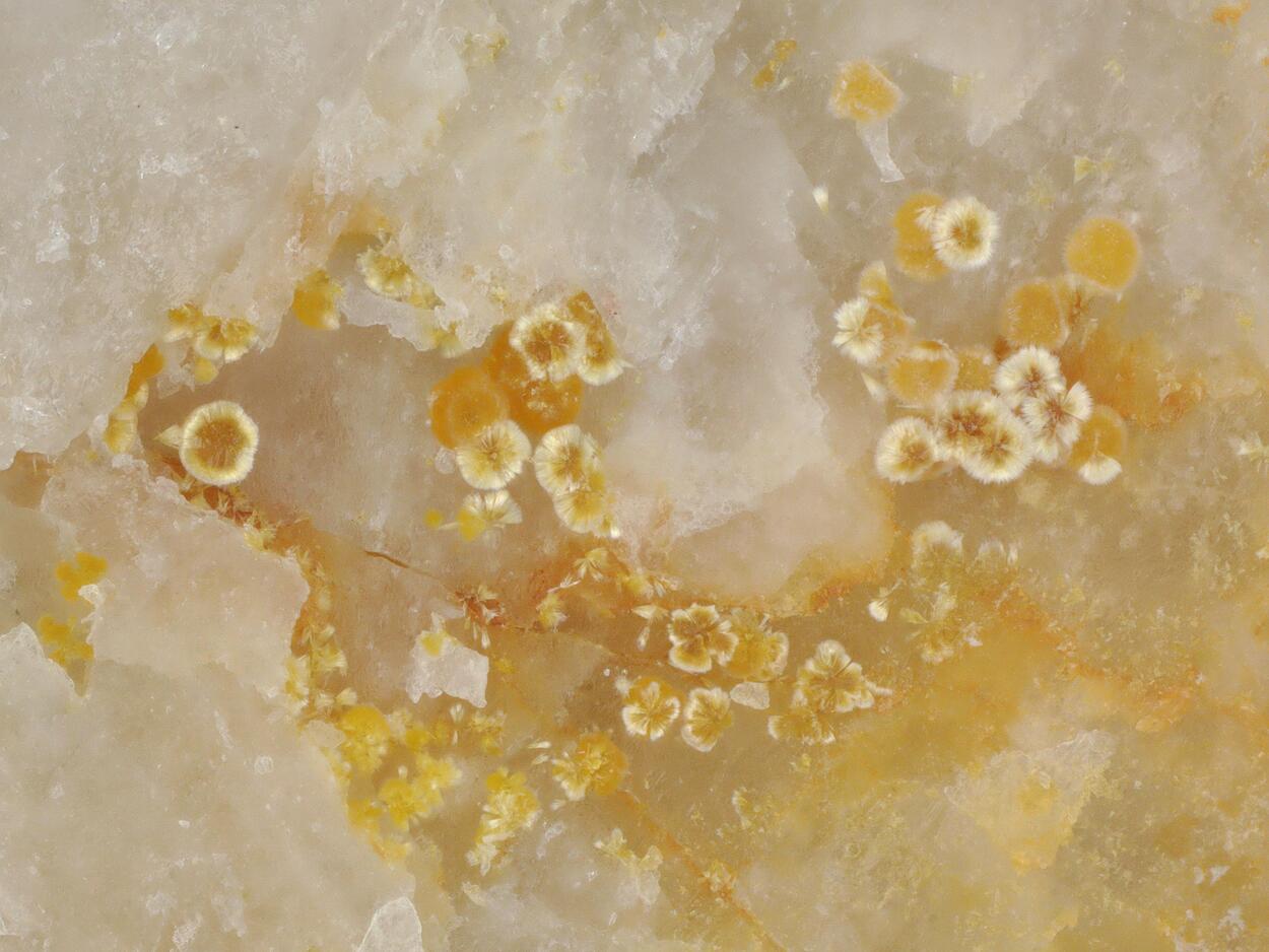 Cacoxenite & Fluorapatite