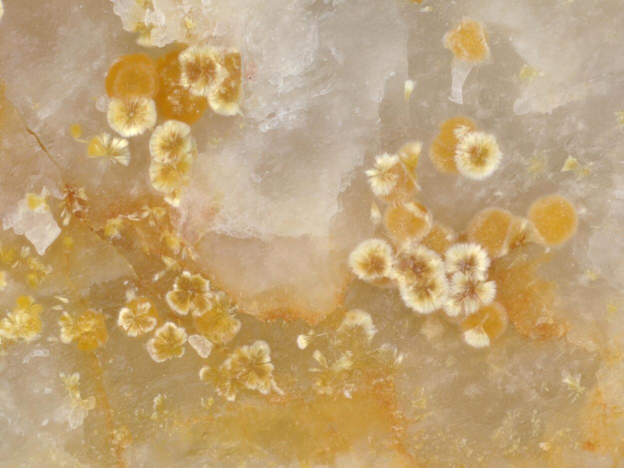 Cacoxenite & Fluorapatite