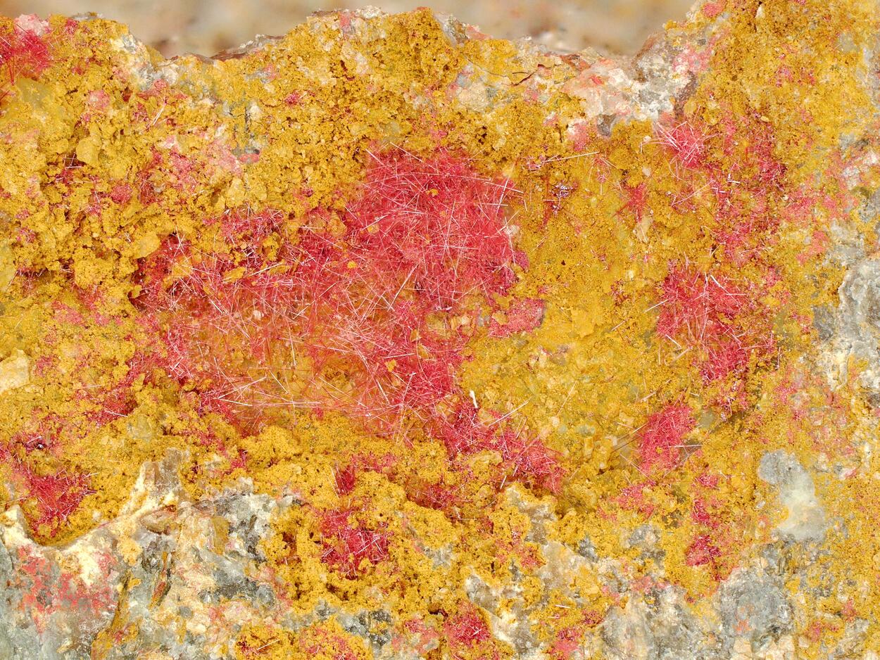 Chalcotrichite