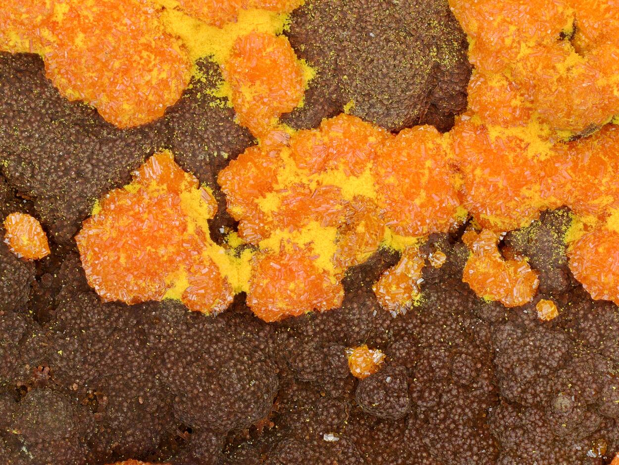 Chervetite Francevillite Curienite & Mounanaite