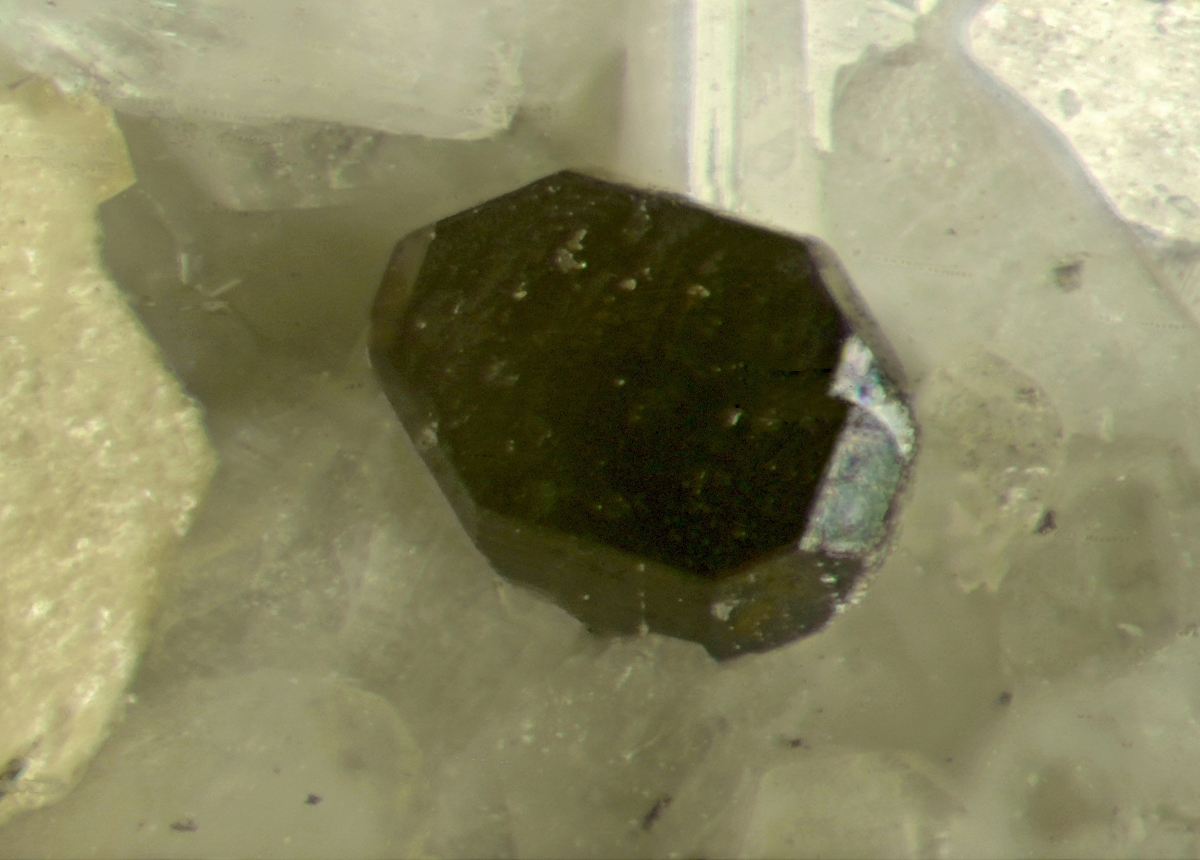 Columbite-(Fe) & Muscovite