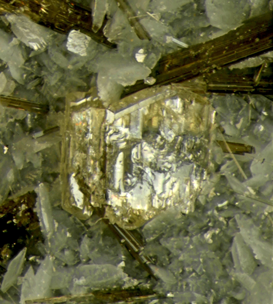 Narsarsukite & Leucosphenite With Richterite Amphibole