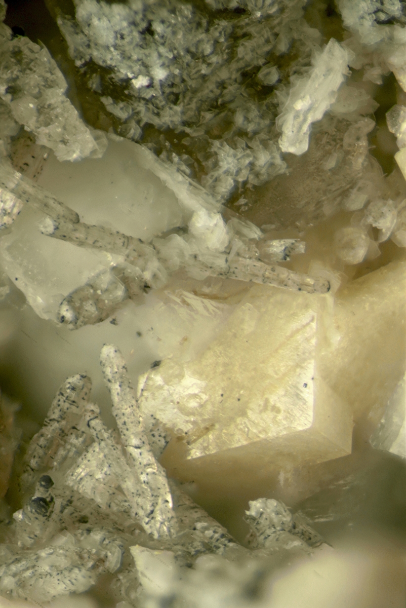 Adamsite-(Y) Psm Shomiokite-(Y) With Bastnäsite Eudidymite Epididymite & Chabazite-Na On Parisite-(Ce) With Donnayite-(Y) & Synchysite-(Ce)