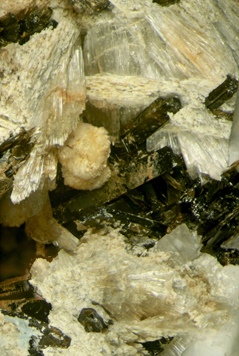 Adamsite-(Y) Thomasclarkite-(Y) Niobokupletskite & Franconite With Synchysite-(Ce) & Rhabdophane-(Ce) Psm