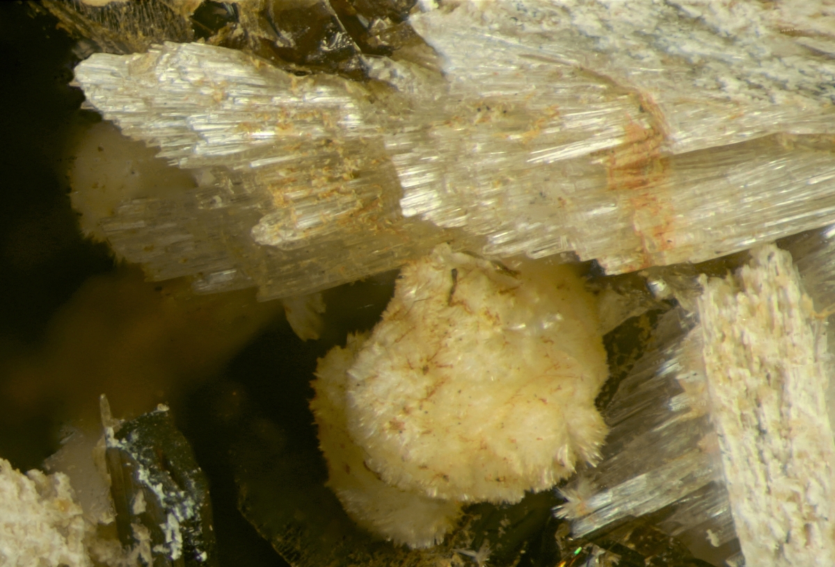 Adamsite-(Y) Thomasclarkite-(Y) Niobokupletskite & Franconite With Synchysite-(Ce) & Rhabdophane-(Ce) Psm