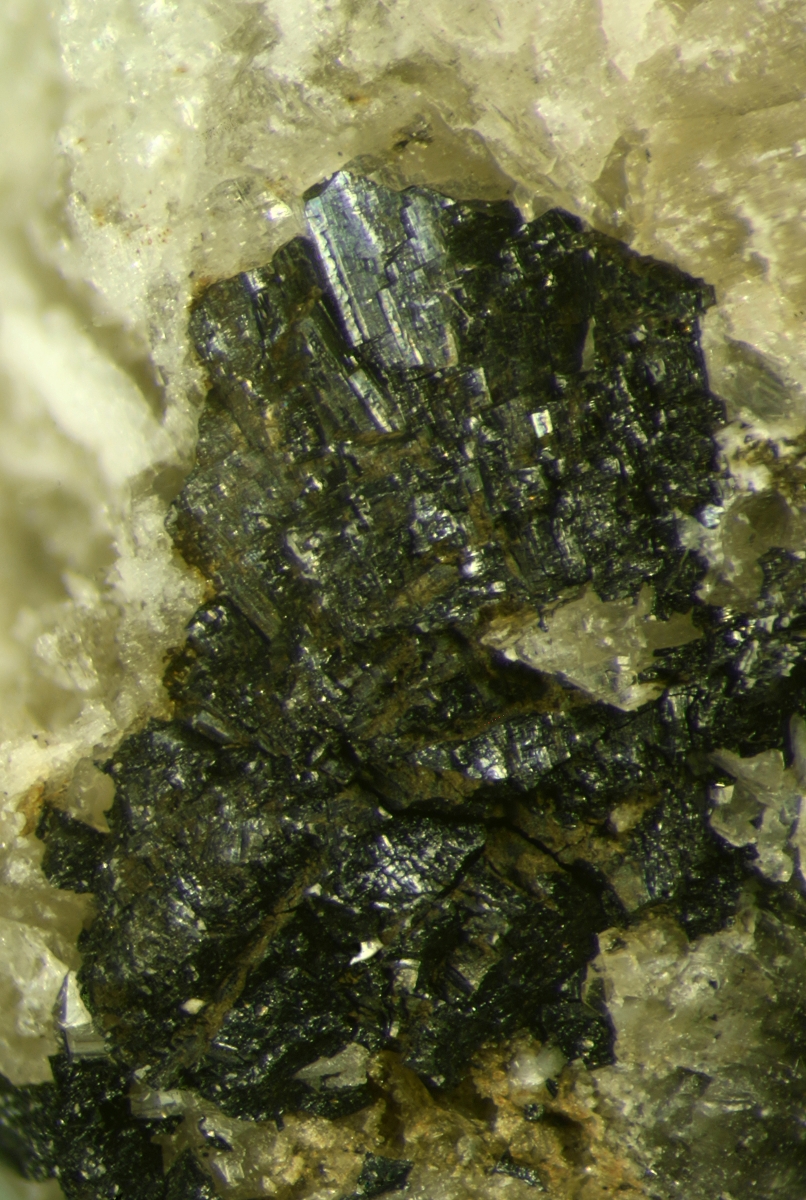 Birnessite & Ranciéite Psm Sérandite With Polylithionite