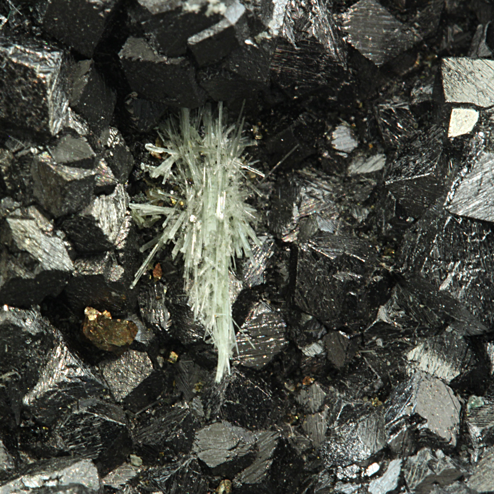 Magnetite & Amphibole Supergroup