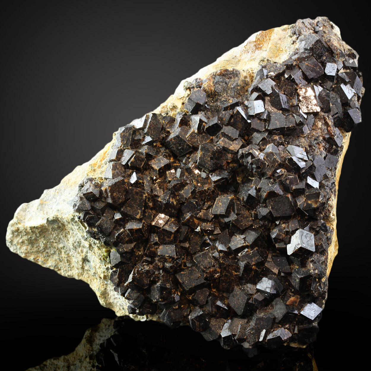 Garnet