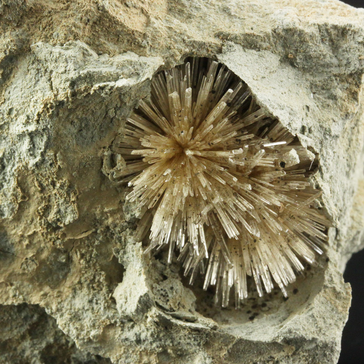 Aragonite