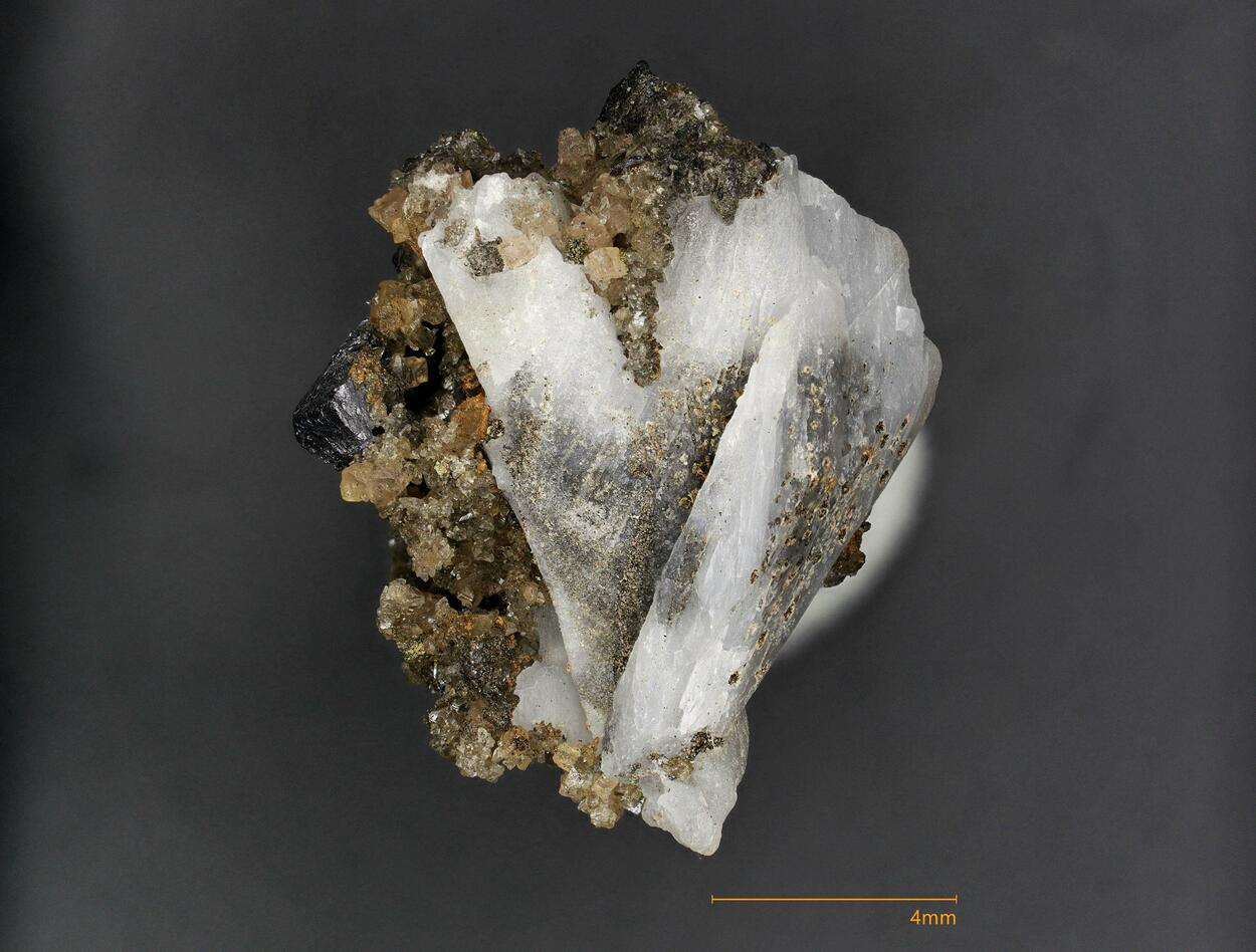 Whewellite