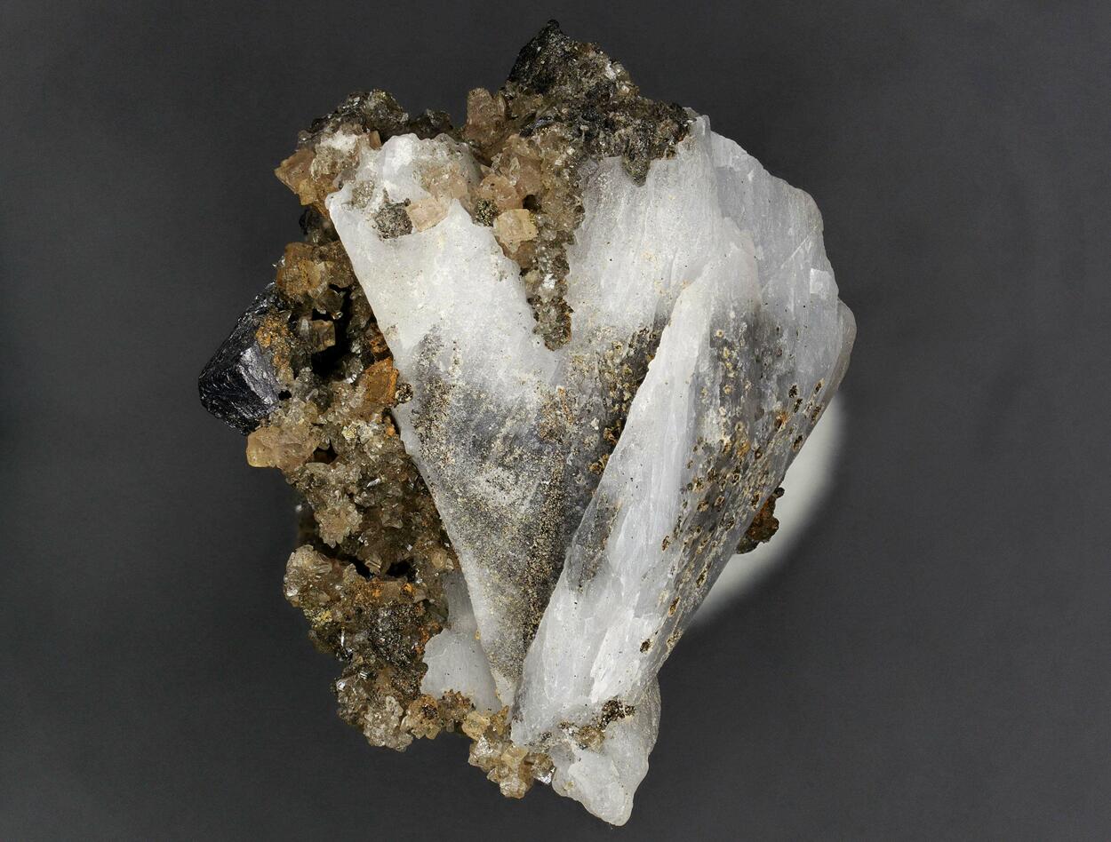 Whewellite