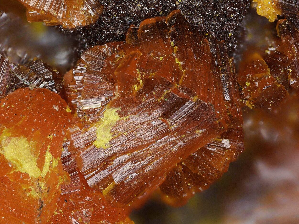 Chervetite With Francevillite & Vanuralite & Mounanaite