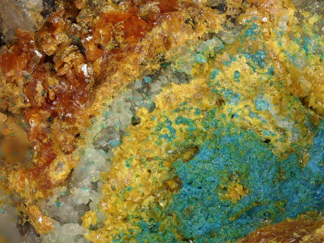 Schwartzembergite & Seeligerite & Diaboleite & Wulfenite