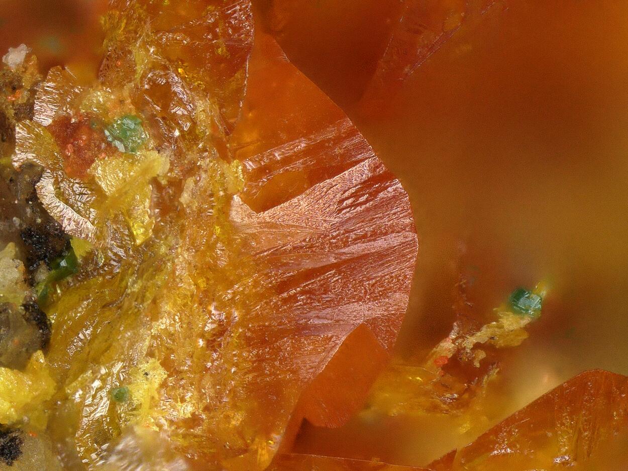 Schwartzembergite & Seeligerite & Diaboleite & Wulfenite