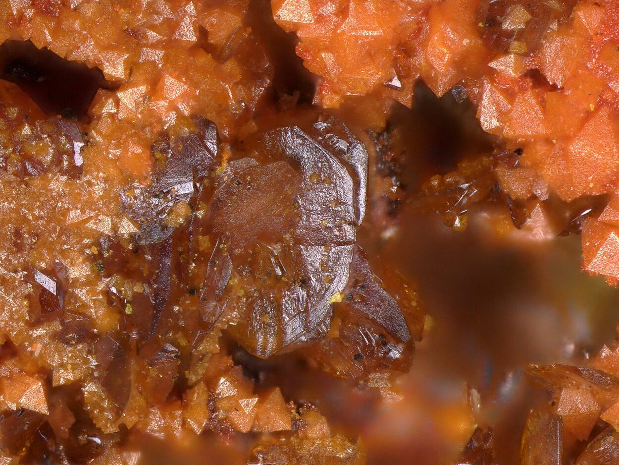 Schwartzembergite & Seeligerite & Diaboleite & Wulfenite