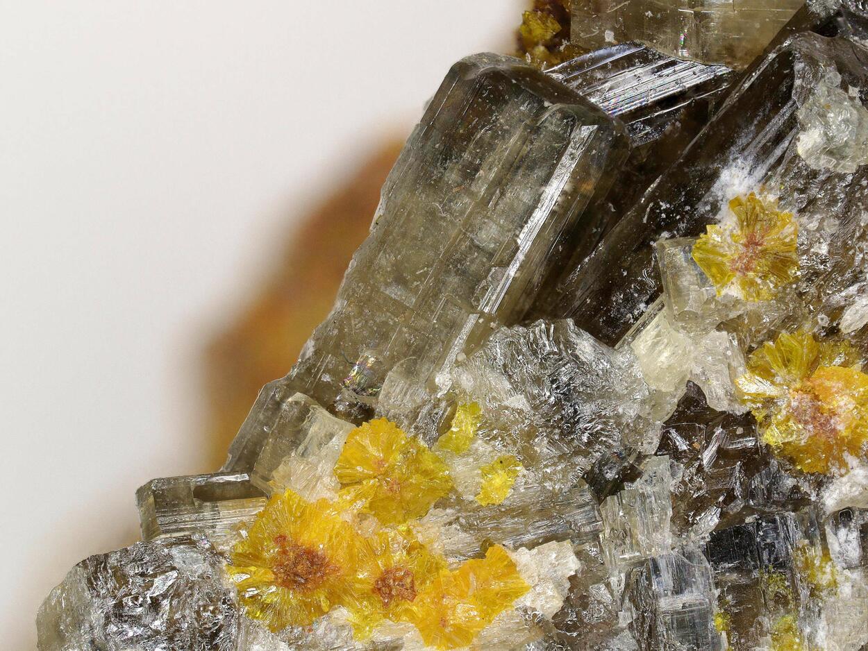 Chervetite & Francevillite
