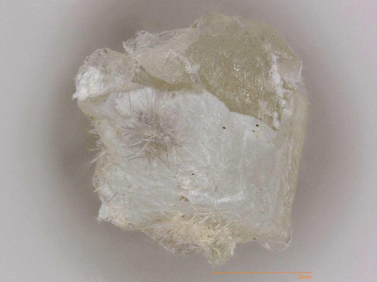 Kasatkinite