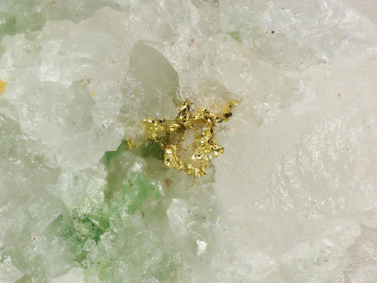 Gold