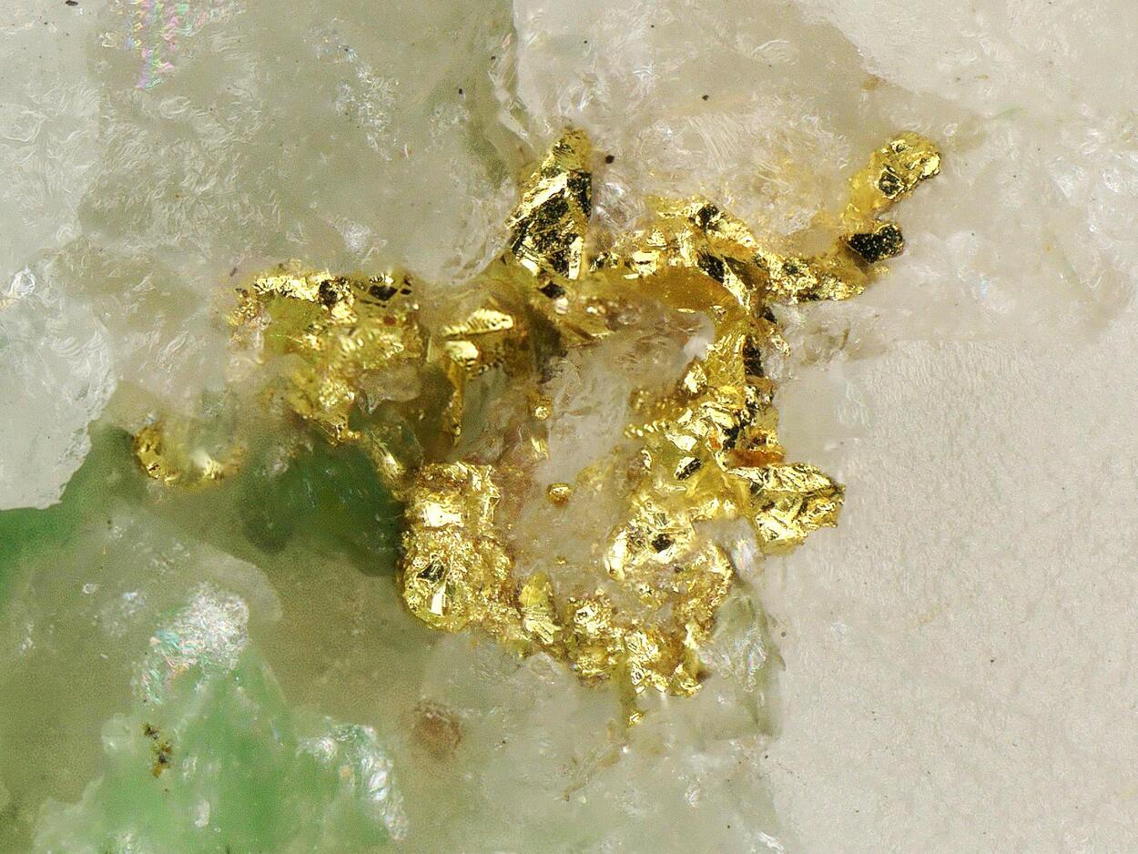 Gold