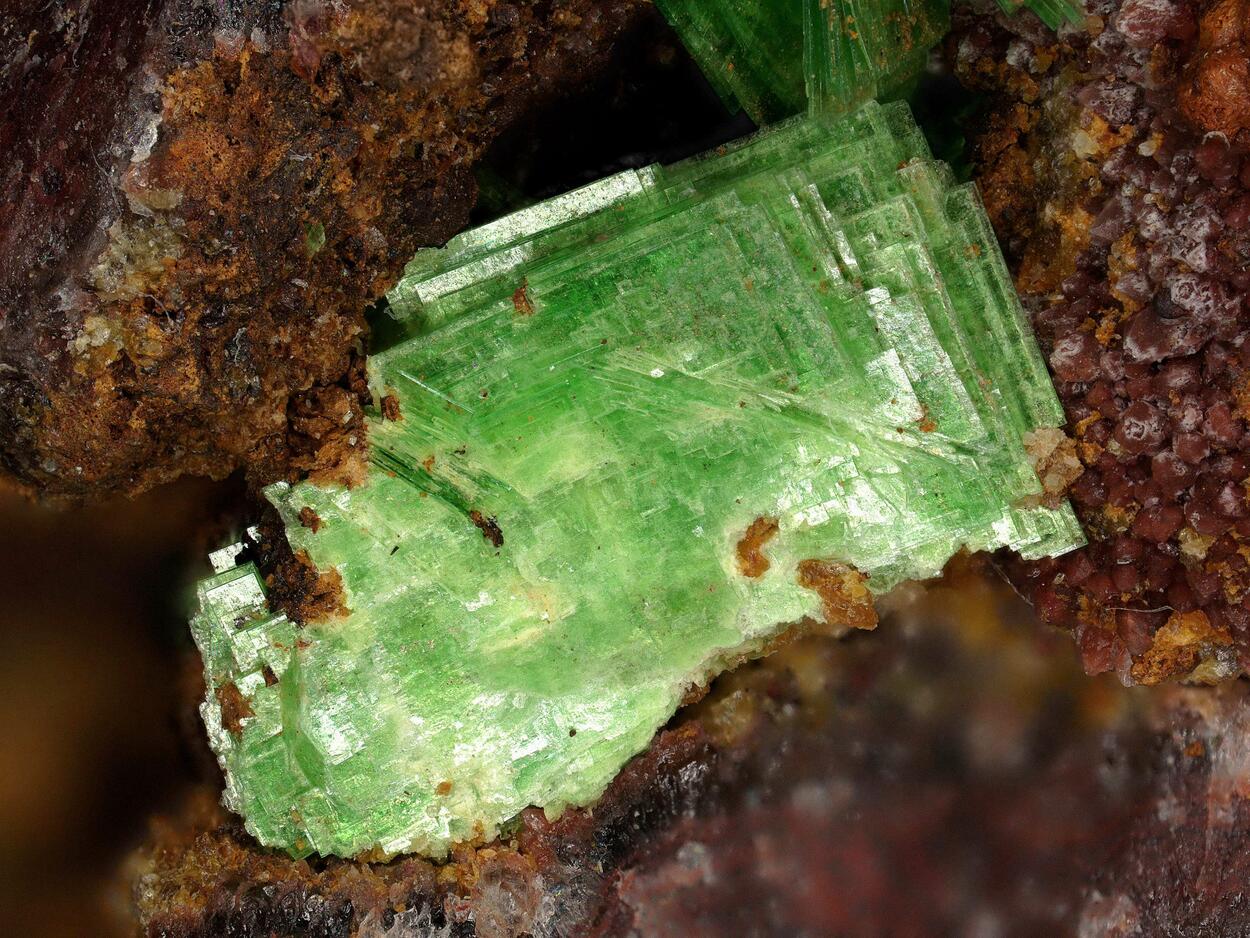 Meta-ankoleite & Metatorbernite