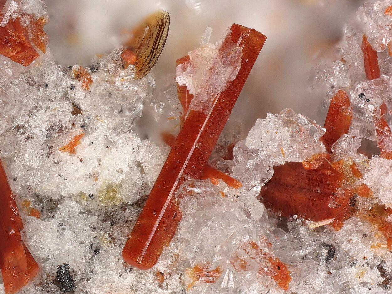 Fluoro-magnesio-hastingsite