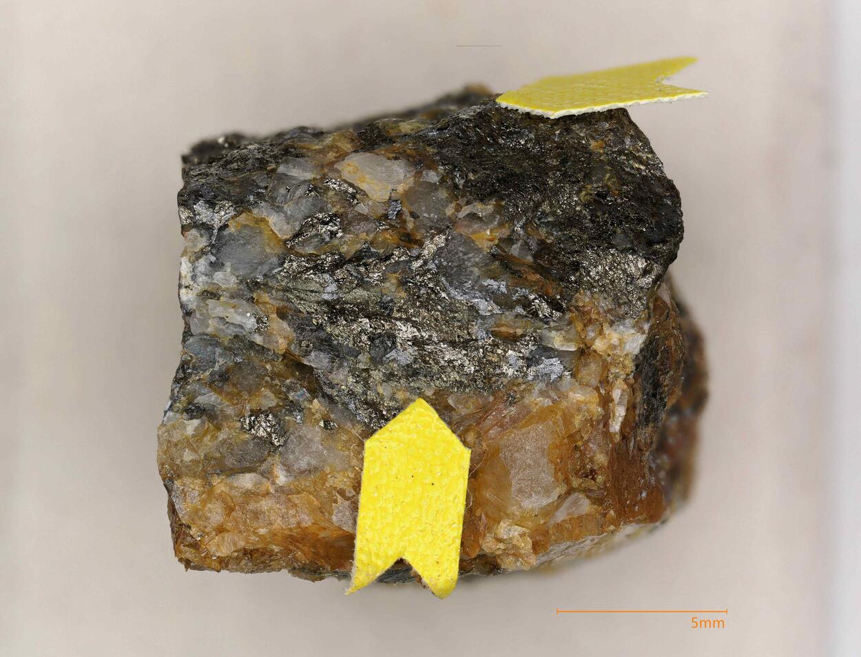 Erzwiesite