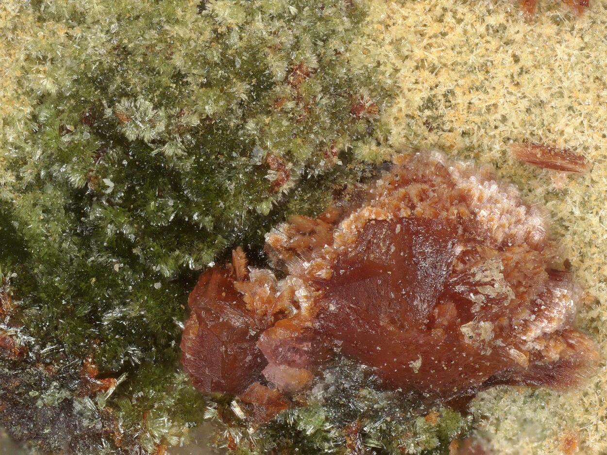 Rappoldite & Cobaltaustinite