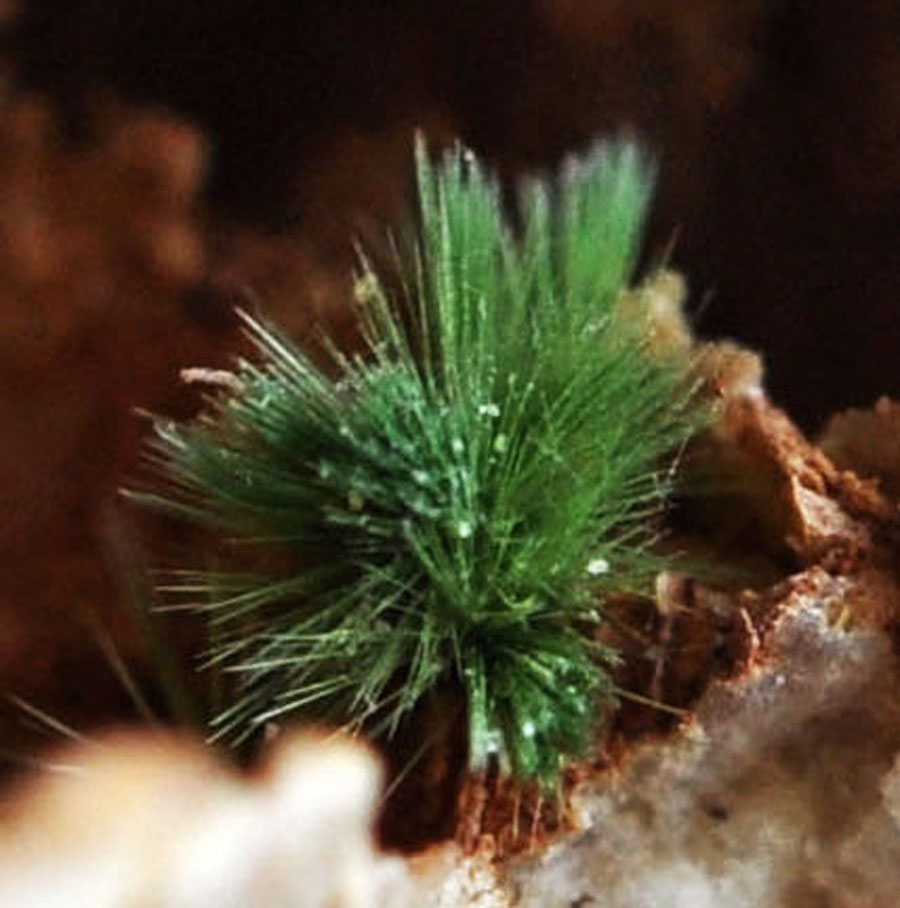 Agardite