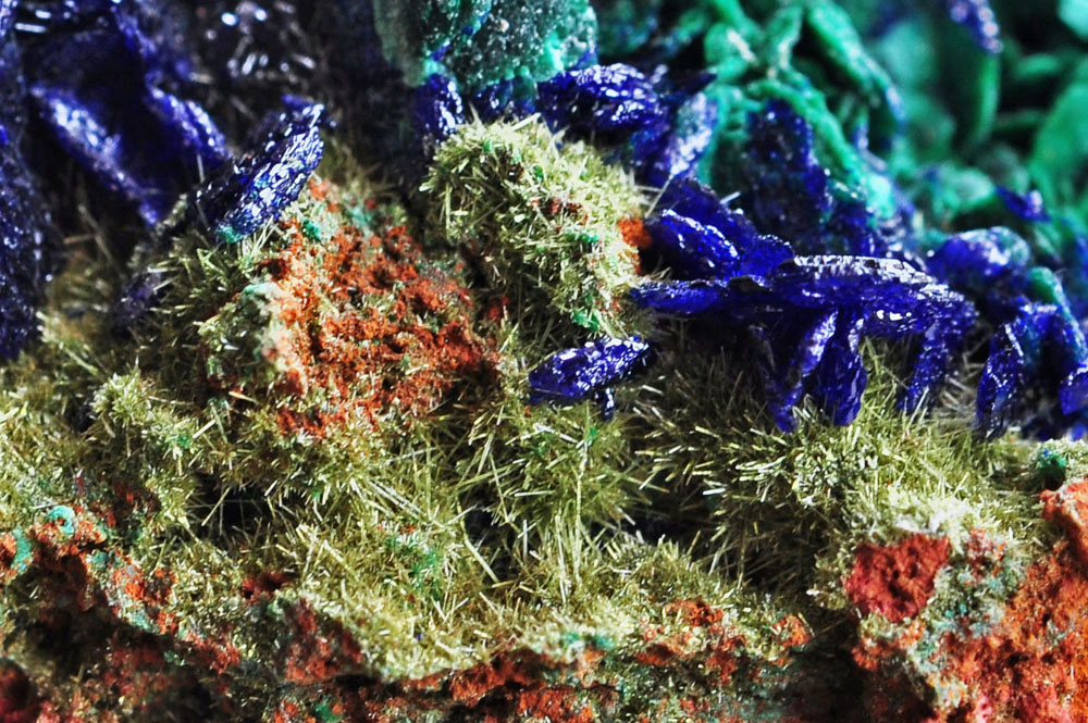 Chenevixite Azurite & Azurite Psm Malachite