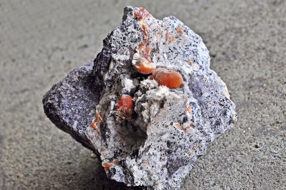 Ferrierite-Mg & Mordenite