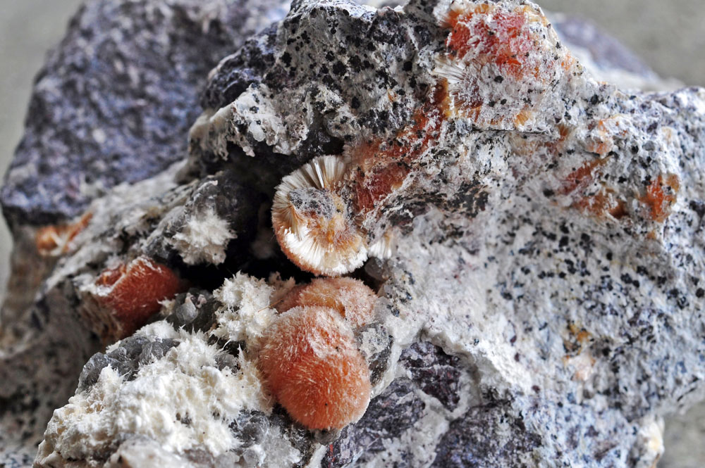 Ferrierite-Mg & Mordenite