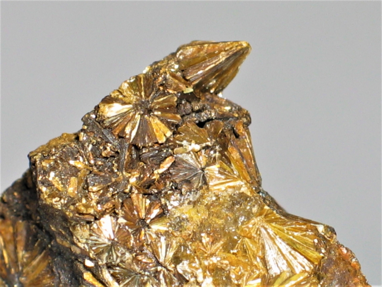 Pyrophyllite